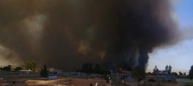 داقوق؛ روبه‌رێكی به‌رفراوانی چێنراو به‌گه‌نم و جۆ سوتا